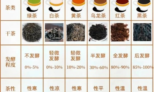 桂木寄生茶能治什么病-桂木寄生功效与作用是什么-桂木寄生功效与作用及禁忌,中国桂木寄生功效与作用网站