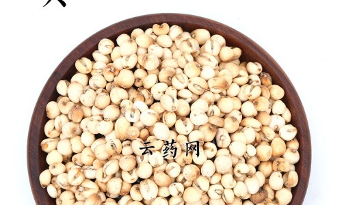 桂木寄生功效与作用是什么-桂木寄生功效与作用及禁忌,中国桂木寄生功效与作用网站